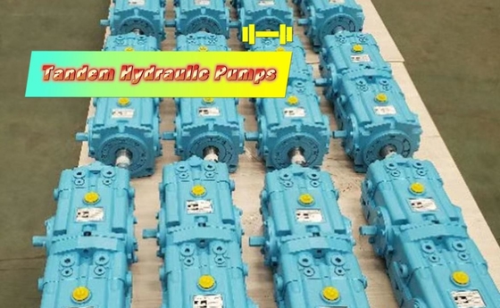 Pompes hydrauliques fiables pour un fonctionnement fluide du système hydraulique